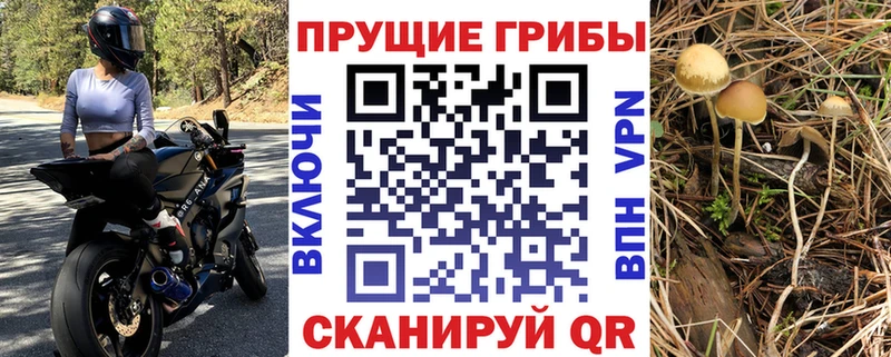 Псилоцибиновые грибы мицелий  Павлово 